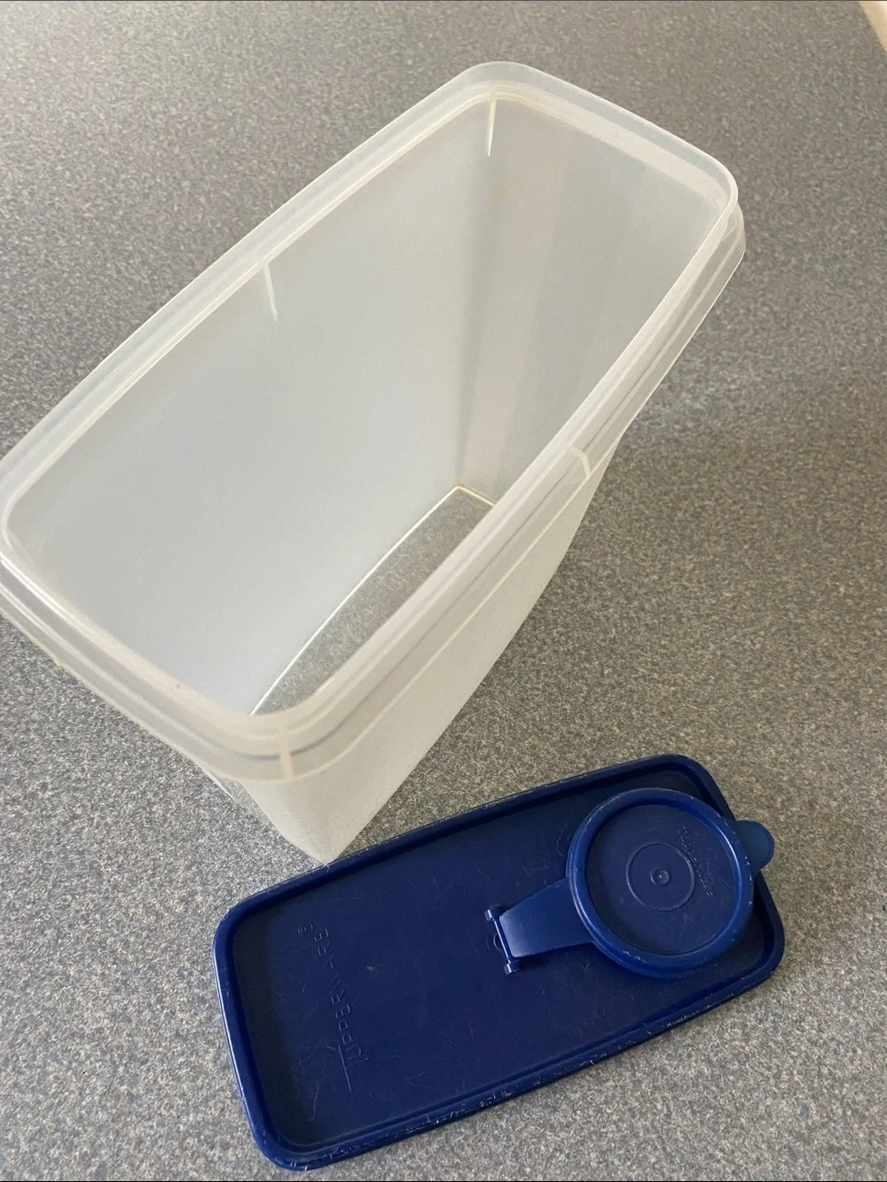 Tupperware White Translucent Container with Blue Lid